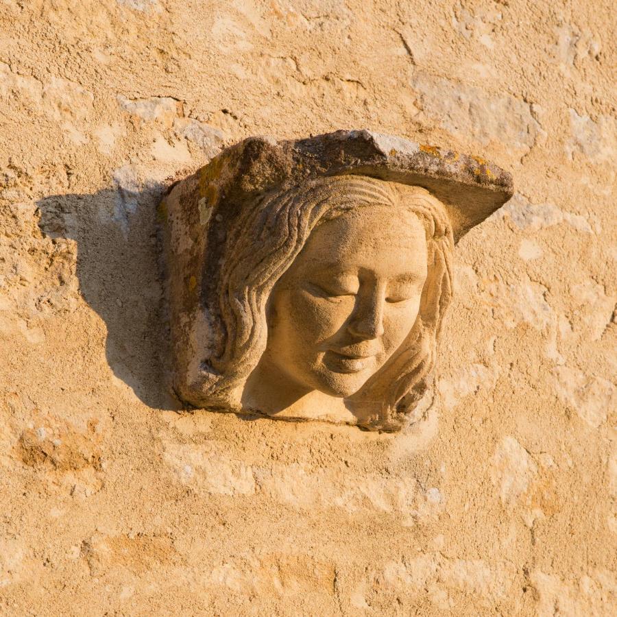 Chateau De Bois Charmant Les Nouillers Kültér fotó